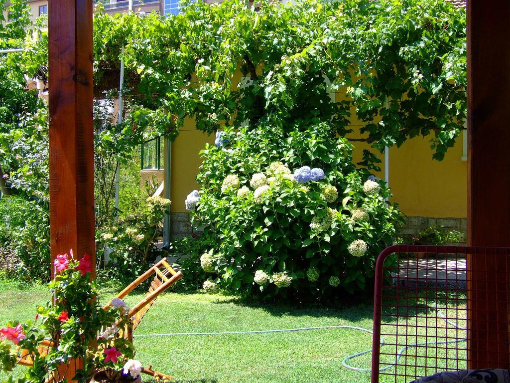 Holiday Home Vesna Budva Oda fotoğraf