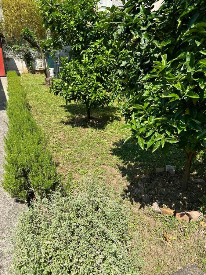 Holiday Home Vesna Budva Dış mekan fotoğraf