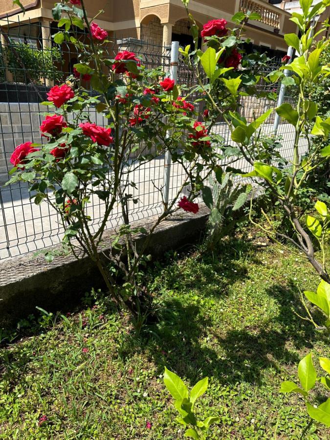 Holiday Home Vesna Budva Dış mekan fotoğraf